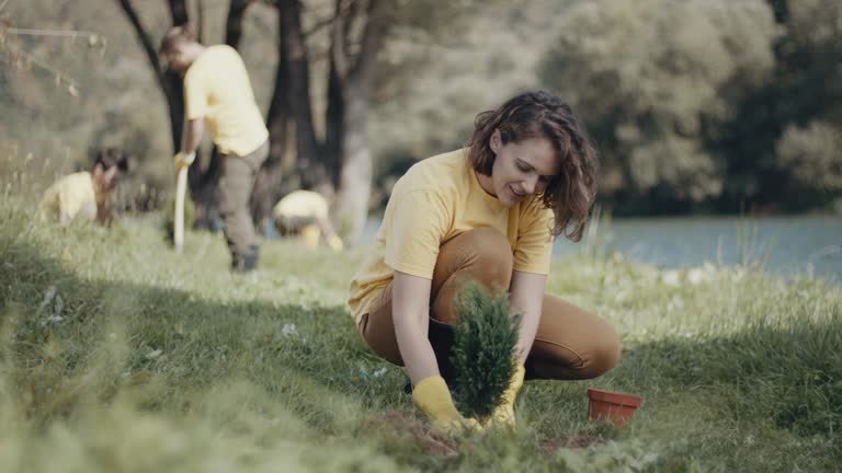 Best Lawn Maintenance Plans  in Ridge Manor, FL